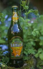 Bangla Premium Beer image
