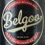 Belgoo Saisonneke image