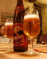Breznak Premium - Pils image