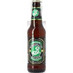 Brooklyn Pilsner image