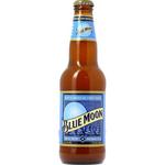 Bière de Moon Ambrée image