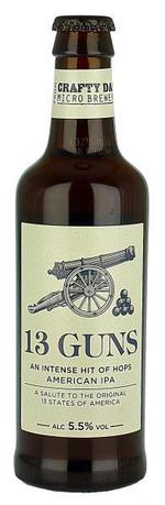 13 Guns image