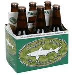 60 Minute Ipa image