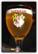 De Brugse Bierkaai Blond image