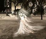Dame Blanche image