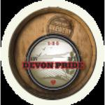 Devon Pride image