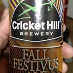 Fall Festivus Ale image