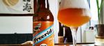 Freeride West Coast Ipa image