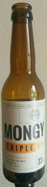 Ganza Bière Ambrée Artisanale image