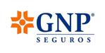 Gnp image