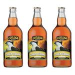 Golden Seahawk Premium Beer image