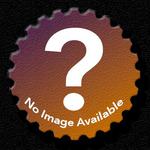 Gravensteenbier Dubbel image