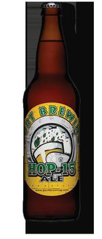 Hop-15 Ale image