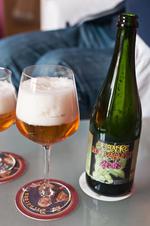 Hop Harvest 2010 image