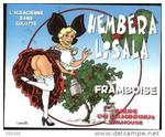 Hembera Lisala Framboise image