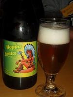 Hoppa Hontas image