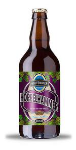 Hoppelhammer image