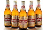 Mahou Cinco Estrellas image