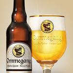 Ommegang image