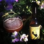 Originale Darwinian Ipa image