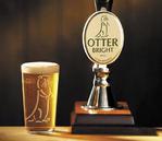 Otter Bright image