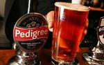 Pedigree Bitter image