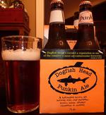 Punkin Ale image