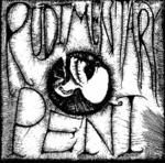 Rudimentary Peni image