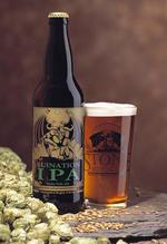 Ruination Ipa image
