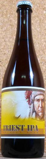 Triest Pale Ale image